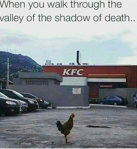 chicken