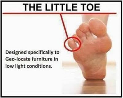 littletoe