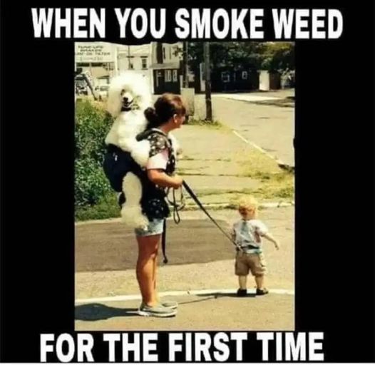 weedforthefirsttime